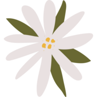 branco flor ícone com uma folhas png