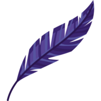 purple feather design  png