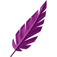 purple feather illustration  png