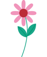 hermosa flor diseño terminado blanco png