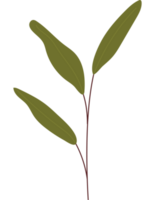 leaves branch design  png