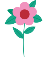 beautiful flower illustration  png