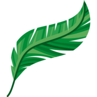 green feather design  png