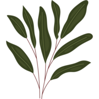 green leaves branch  png