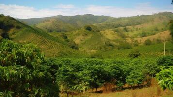 café plantación. paisaje con café arboles generativo ai foto