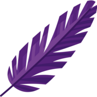 viola piuma vettore al di sopra di bianca png