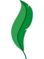 green feather icon  png