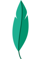verde pluma vector terminado blanco png