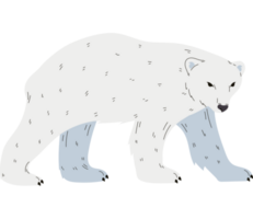 söt arktisk Björn design över vit png