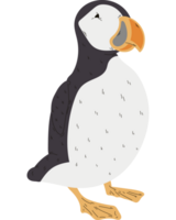 Cute dodo design  png