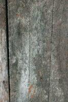 Old wood texture background. Floor surface with old wood texture background. photo