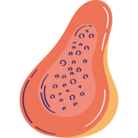 fresco mamão fruta saudável ícone png