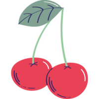 fresh cherries fruits healthy icon png