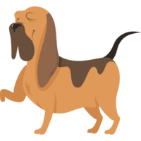 Beagle Hund Maskottchen inländisch Charakter png