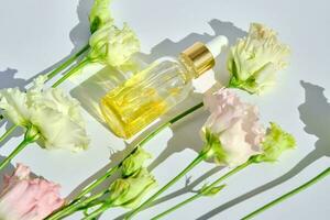 Serum with yellow petals and delicate flowers. photo