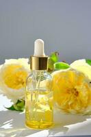 Serum with yellow petals and yellow flowers. photo