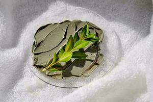 A sample of a mud mask on a terry bath towel with a green sprig. photo