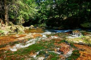 rápido montaña río con cascadas en Karpacz, Polonia foto