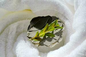 A sample of a mud mask on a terry bath towel with a green sprig. photo