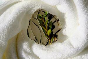 A sample of a mud mask on a terry bath towel with a green sprig. photo