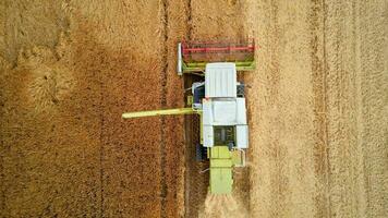 Harvester combine working in the field photo
