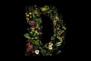 re alfabeto letra hecho fuera de hojas plantas y flores aislado en negro antecedentes ilustración generativo ai foto