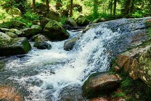 Fast mountain river with cascades in Karpacz, Poland photo