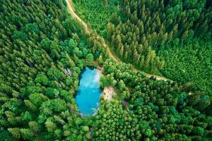 aéreo ver de azul de colores bosque lago en Polonia foto