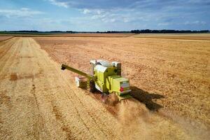 Harvester combine working in the field photo