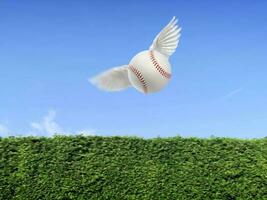 Baseball ball have wings fly in the air on blue sky and green grass wall background photo