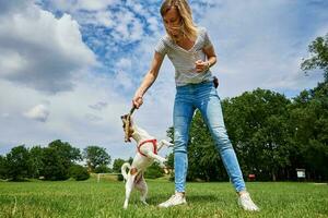 Owner walking dog at green field photo