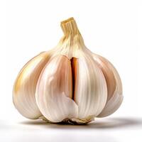 Garlic clove isolated. Illustration photo