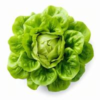 Green fresh lettuce. Illustration photo