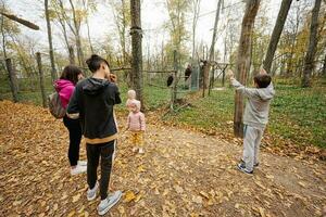 Family looking on two brown eagles in a cage at autumn forest. photo