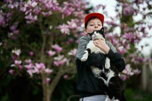 Boy in cap hold cat in hands against nice spring day near magnolia blooming tree. photo