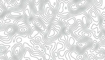 Background of the topographic map. Topographic map lines, contour background. vector