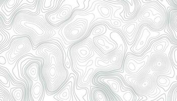 Topographic map background concept with space for your copy. Topographic map background concept with space for your copy. vector