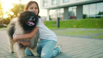 Brunette girl hugs a fluffy dog at sunset outdoors video