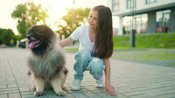 brunette meisje knuffels een pluizig hond Bij zonsondergang buitenshuis video