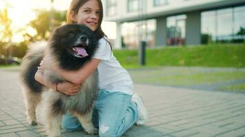 brunette meisje knuffels een pluizig hond Bij zonsondergang buitenshuis video