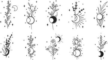 Collection of different plants with stars and moon, minimalistic vector art