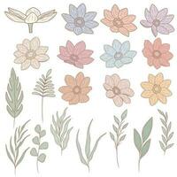 Collection of individual spring elements, flowers, leaves, vector art