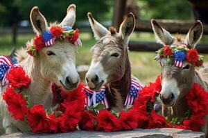 donkeys Celebrating memorial day illustration photo
