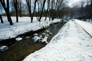 Ducks on frozen river at winter sunny day. photo