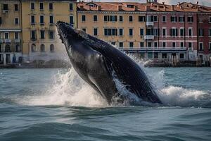 Humpback whale breaching in venice canal illustration photo