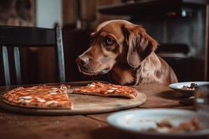 dog stealing the pizza from the table illustration photo