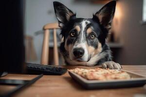 dog stealing the pizza from the table illustration photo