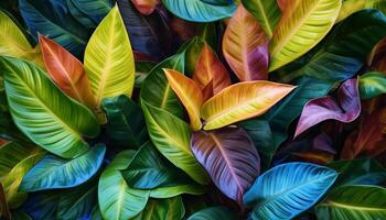 foliage background, multicolored leaf pattern, photo