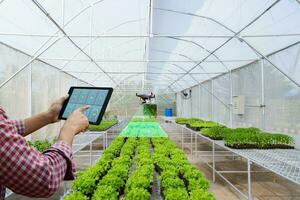 un granjero jardinero sostiene un tableta a inspeccionar agrícola Produce sin personal aéreo vehículo foto