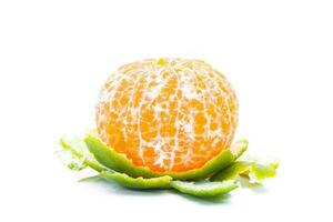 Shogun oranges fruit on a white background photo